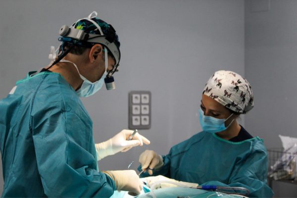 Cicatrices Rinoplastia - Dr. Javier Galindo